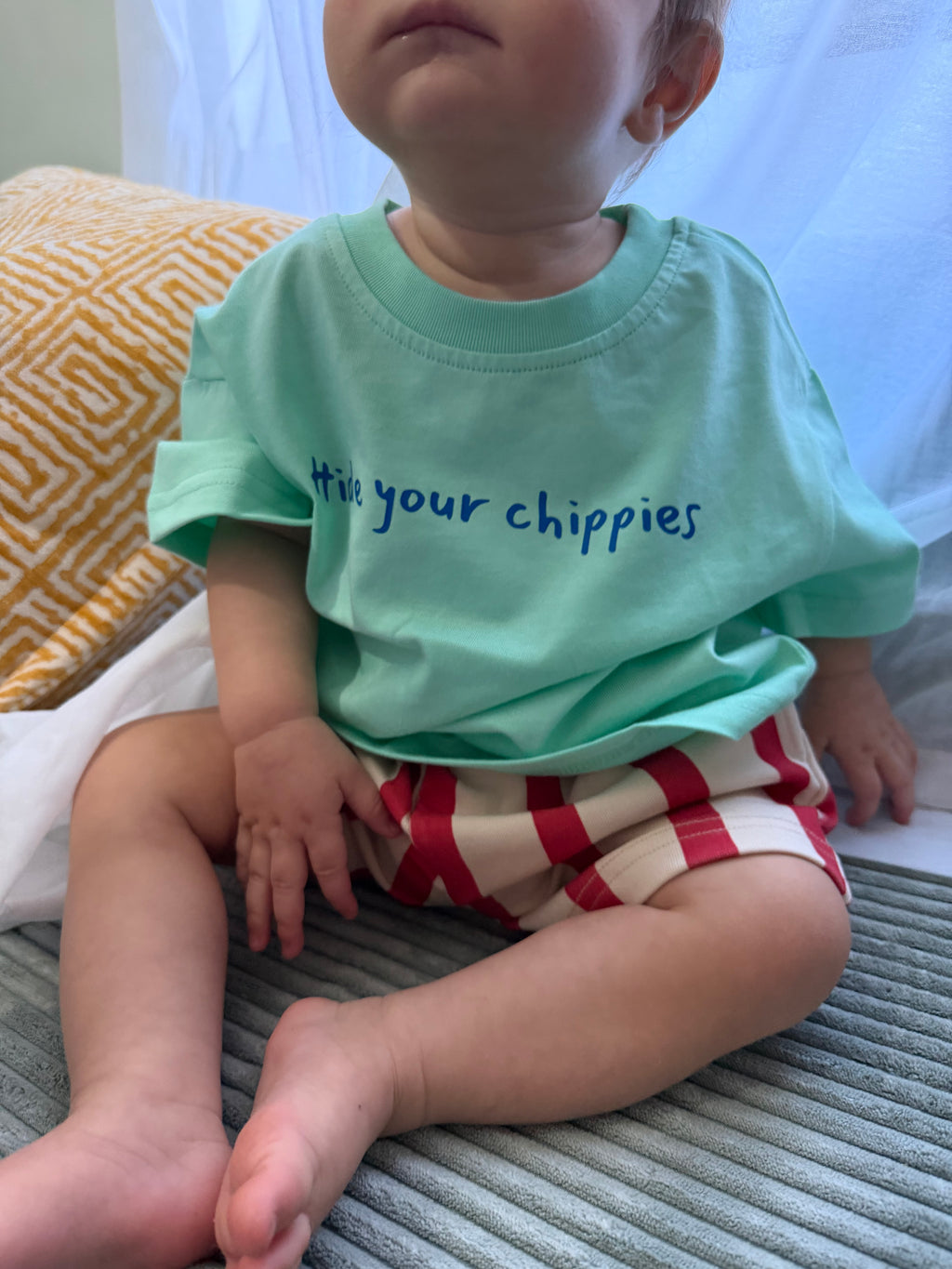 Mr Boaz - Hide your chippies - Aqua